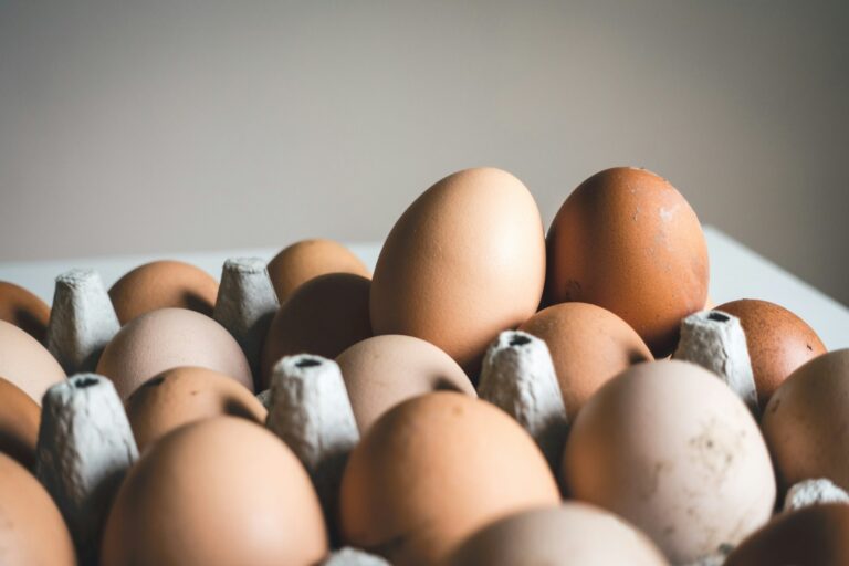 Quand manger les œufs dans la Chrono-nutrition ?